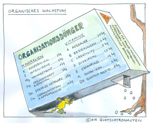 Organisationsdunger. Kick Eventwerkstatt 2012, die Quatschtronauten, Inspriration und Unterhaltung