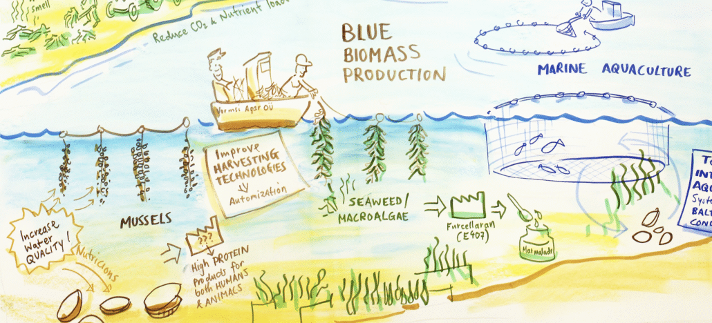 atial Blue Biomass Production